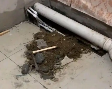 绥江卫生间漏水检测哪家好